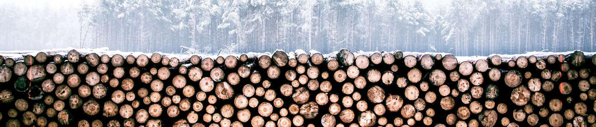 Kvaliteetne puitmaterjal otse Eestist. Meilt saad immutatud puitu, terrassilaudu, saunamaterjali ja kõike muud ehitusmaterjali.