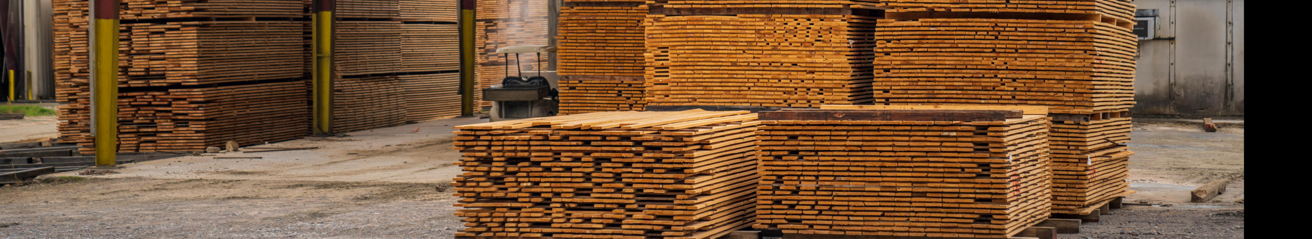 FriPuit offers local timber and forestry products to both companies and private individuals. The choice extends from sawmill and firewood to Christmas trees.