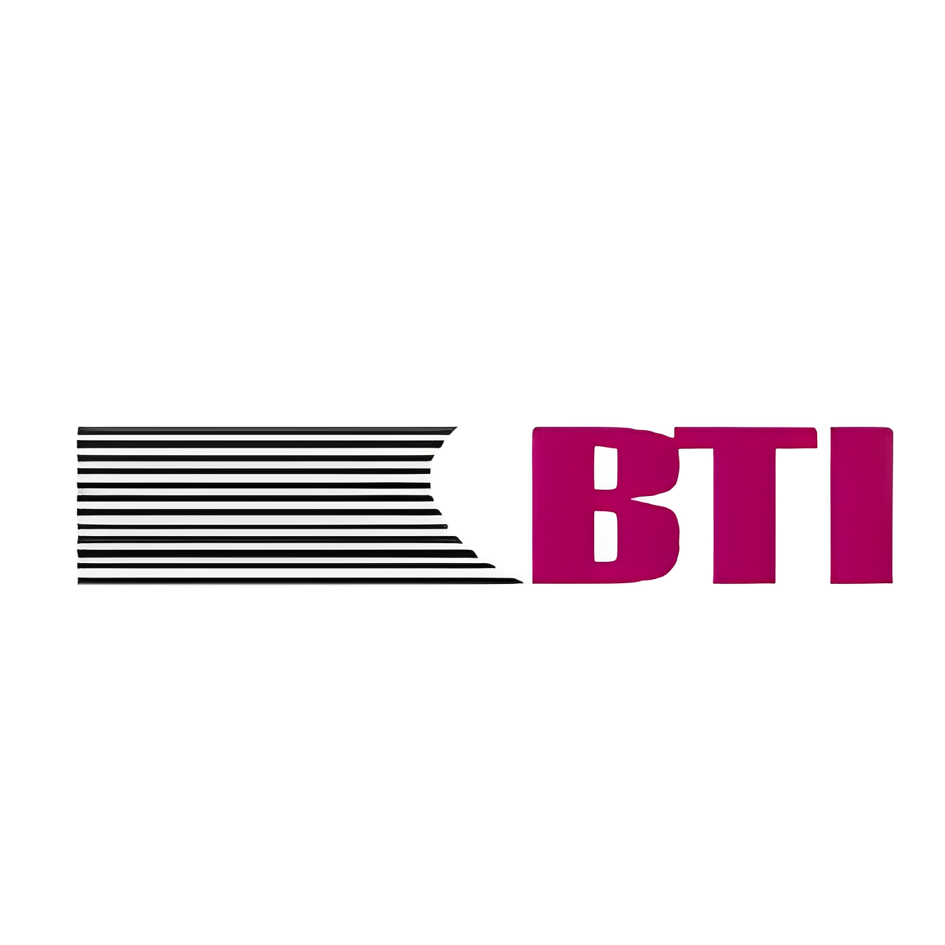BTISOLATSIOON OÜ logo