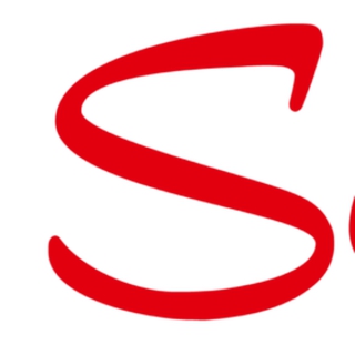 SALONG SCARLETT OÜ logo