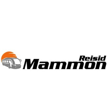 VÄIKE MAMMON OÜ logo