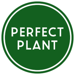 PERFECT PLANT OÜ logo