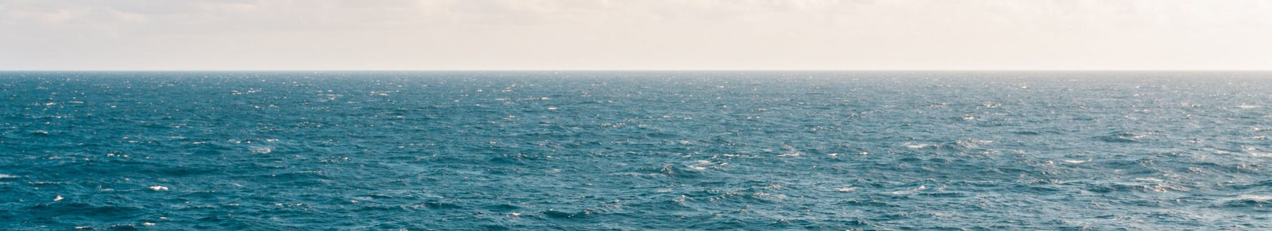 Largest trustworthy company CERANOS INVEST OÜ, reputation score 3301, active business relations 3. Construction of pleasure boats in Raasiku vald.