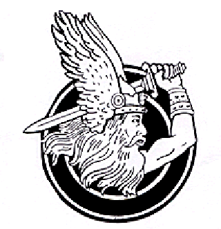 BALTIC STEEL FIBER OÜ logo
