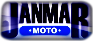 JANMAR TRANSPORT OÜ logo
