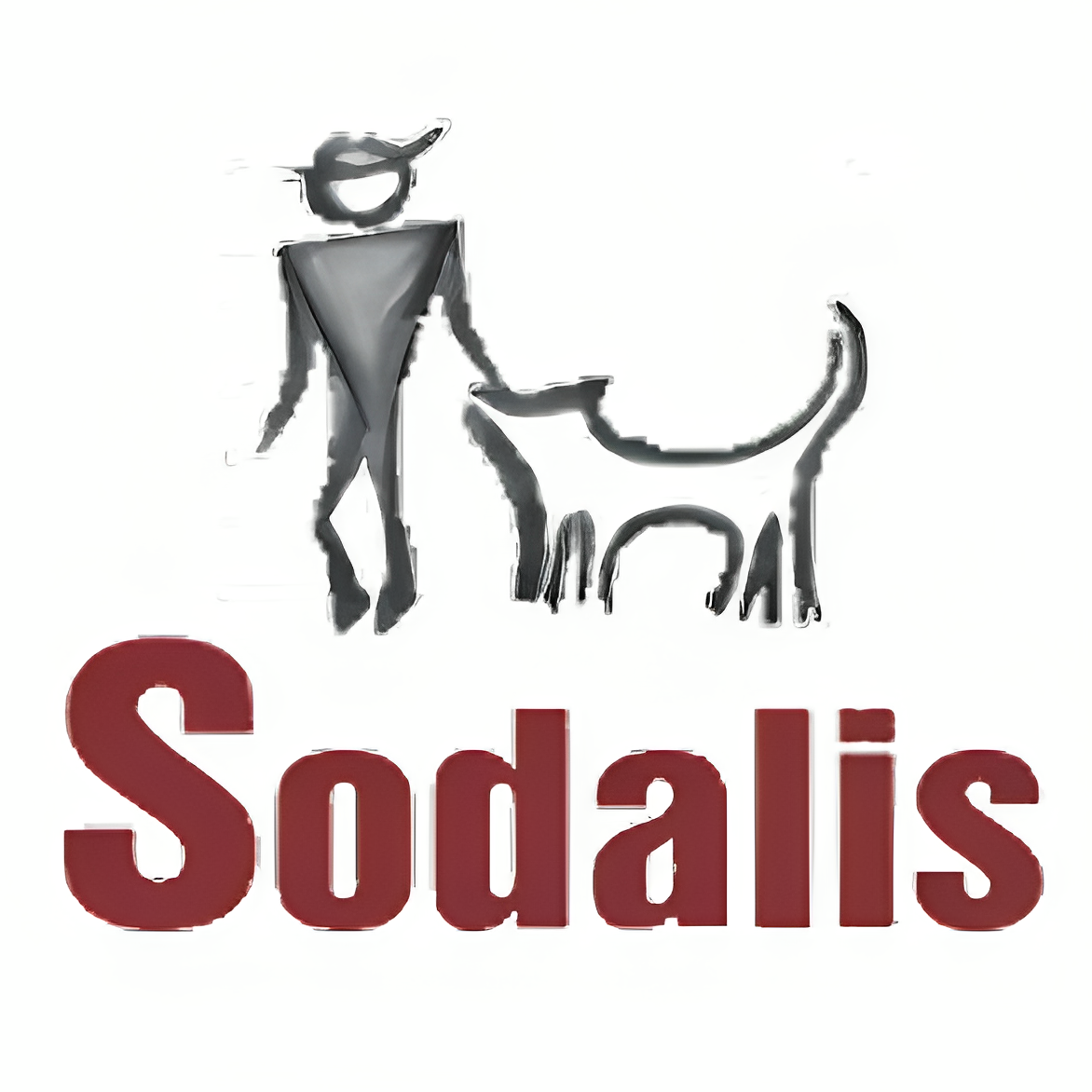 SODALIS OÜ логотип