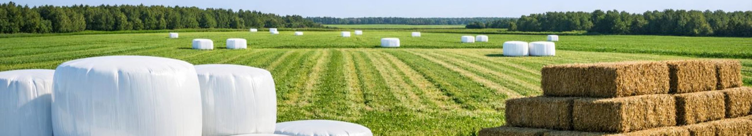 The average salary of companies decreased by 235 EUR - 1,453 EUR in the 4th quarter of 2025, the number of employees - 7 employees.