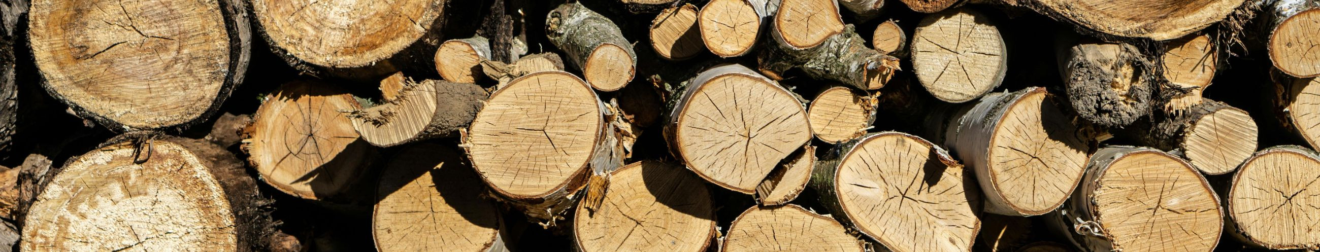 Peamine otsustaja Tanel M., kellel on aktiivseid äriseoseid 1. Kasusaaja võrgustikus võib esineda varade netoväärtuses muutusi.  Mõjukamad äripartnerid...