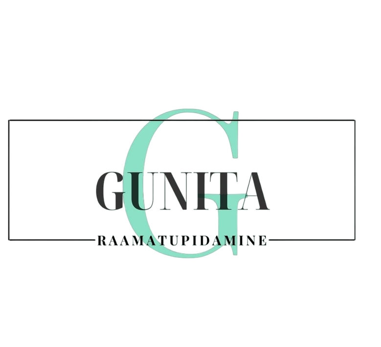 GUNITA OÜ - Teie tunnustatud partner raamatupidamises!
