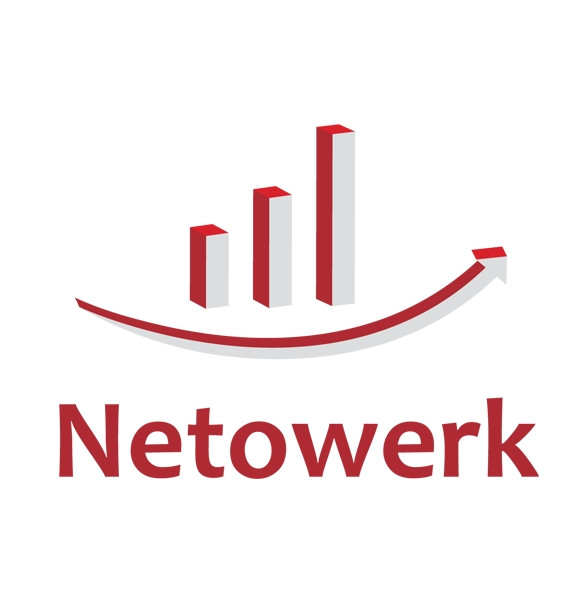 NETOWERK OÜ logo