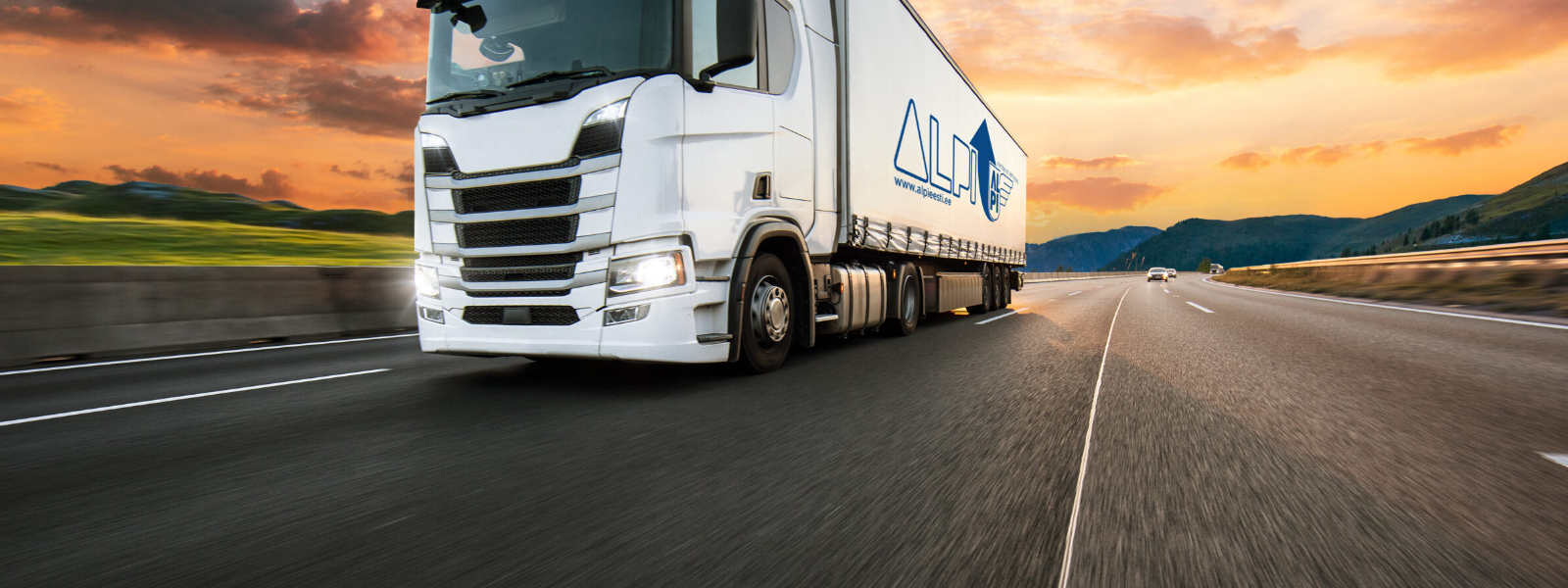 ALPI EESTI OÜ - Ettevõte pakub laialdast logistikateenuste spektrit, hõlmates transporti, kaubandustegevust, tarnimist ...