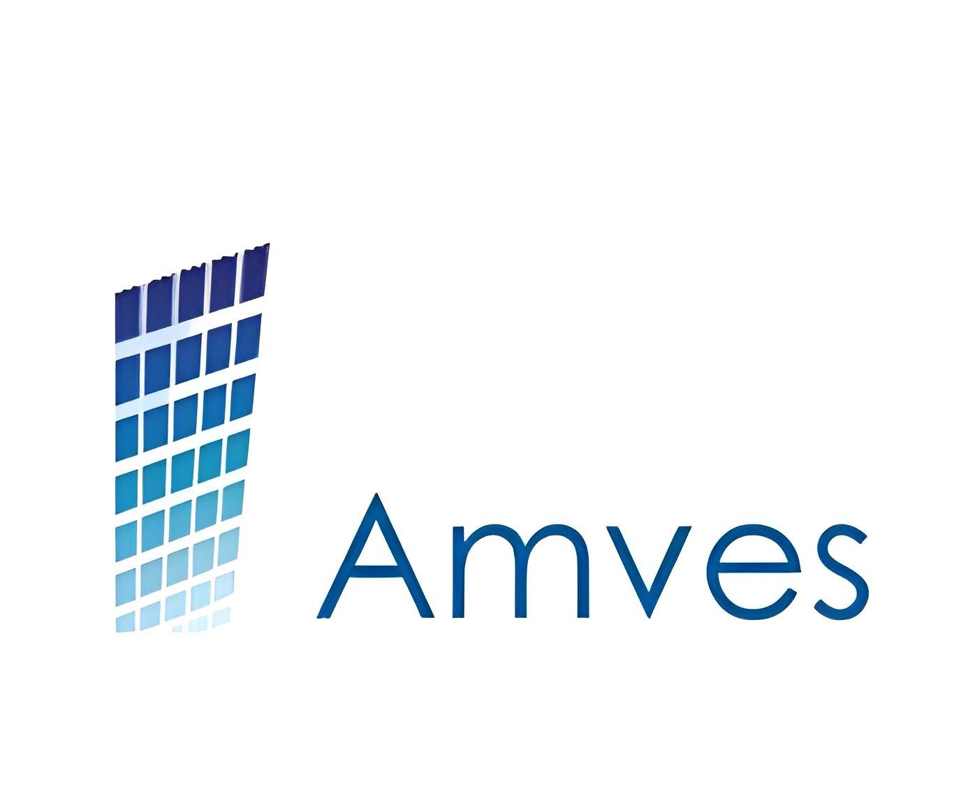 AMVES OÜ logo