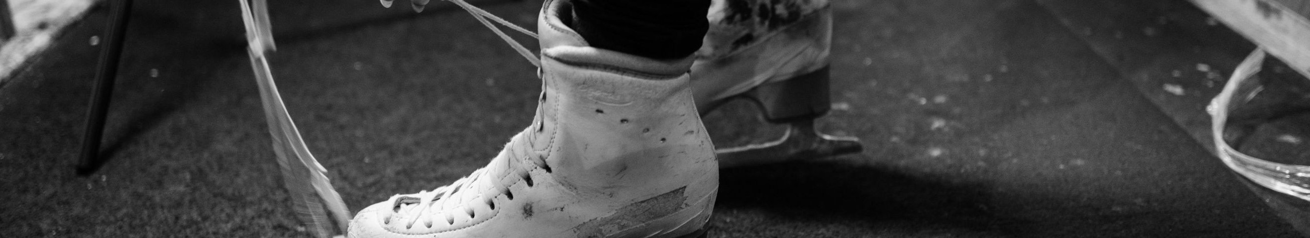 Pakume Tallinna piirkonnas spetsiaalset hokivarustust, uiskude teritamist ning jalgrataste müüki ja remonti. Lähedane proshop varustab klubisid ja harrastajaid, vähendab seisakuid ning pikendab varustuse eluiga.