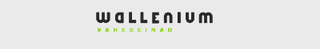WALLENIUM OÜ logo