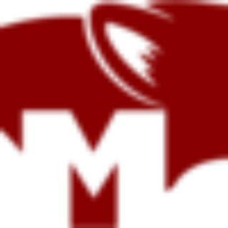 MANGUST GRUPP OÜ logo