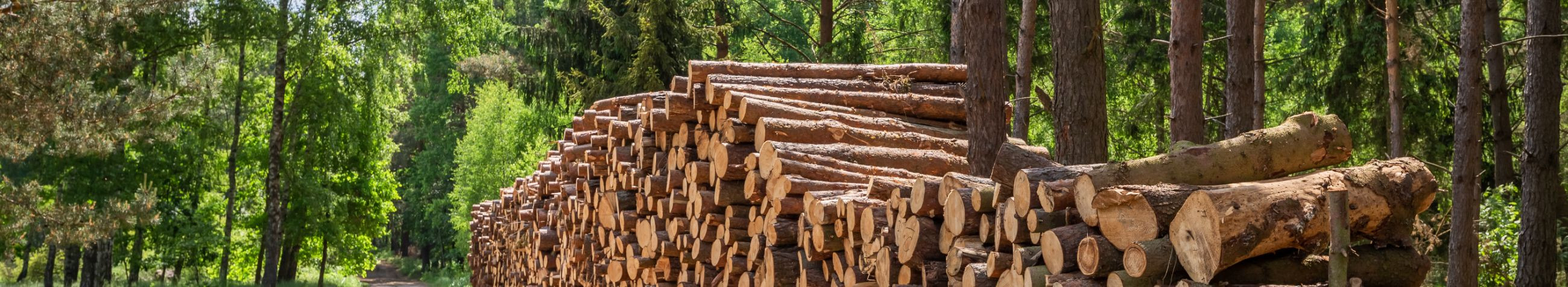 Wood and Paper Industry, Forest Management, Sale of timber, Purchase of timber, Forest stockpiling, forest house purchase, working up the forest, Transport of timber, reclamation of forested area, management of woodland
