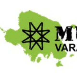 MUHU VARAHALDUSE OÜ logo