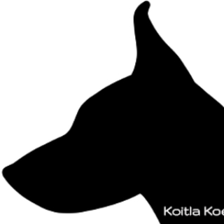 KOITLA KOERAHOTELL OÜ logo
