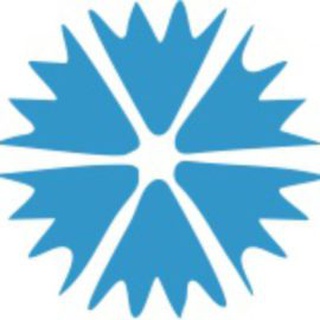 AADEL BUSSID OÜ logo