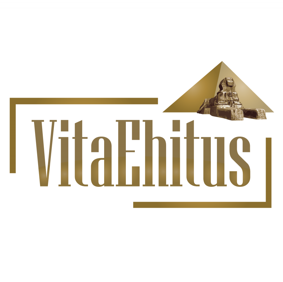 VITA-EHITUS OÜ logo