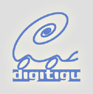 DIGITIGU OÜ logo