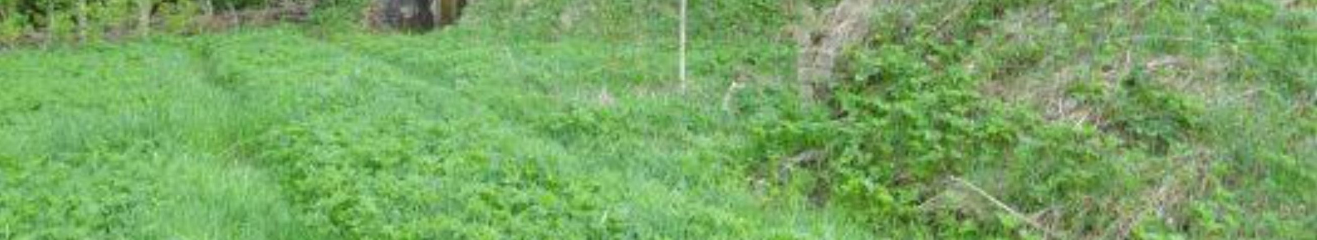 We offer regional sales and rental ads and brokerage in and around Järvamaa to help you buy, sell or rent a home, cottage, land or business premises.