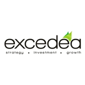 EXCEDEA OÜ - Business and other management consultancy activities in Tallinn