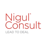 NIGUL CONSULT OÜ logo