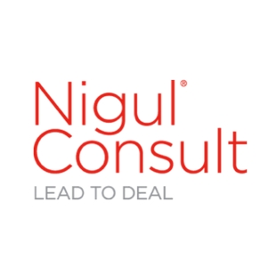 NIGUL CONSULT OÜ logo