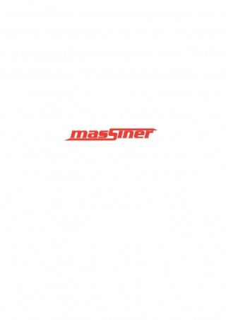 MASSINER OÜ logo