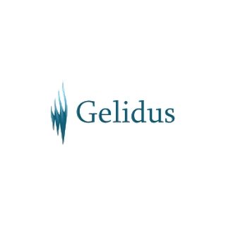 GELIDUS OÜ logo