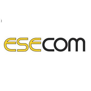 ESECOM INTERNATIONAL OÜ logo