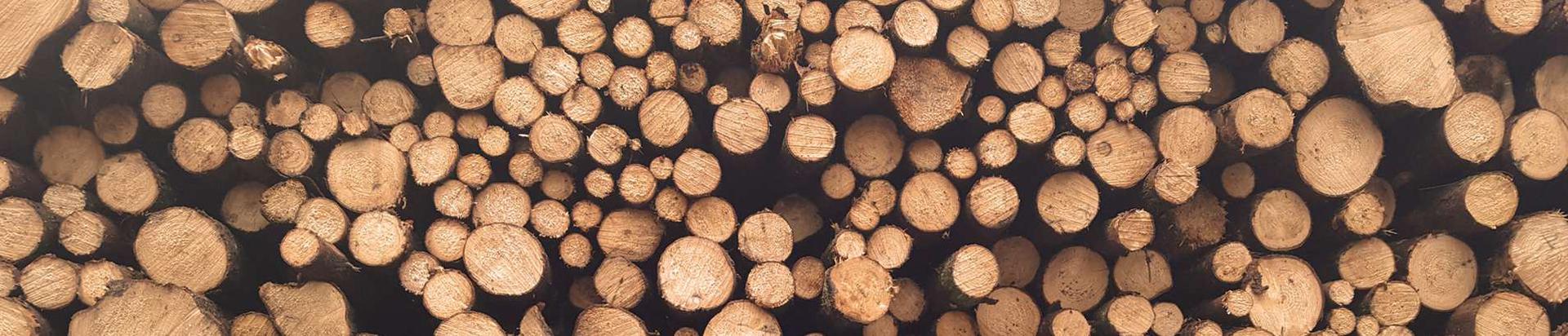 Wood and Paper Industry and other related services, products, consultations