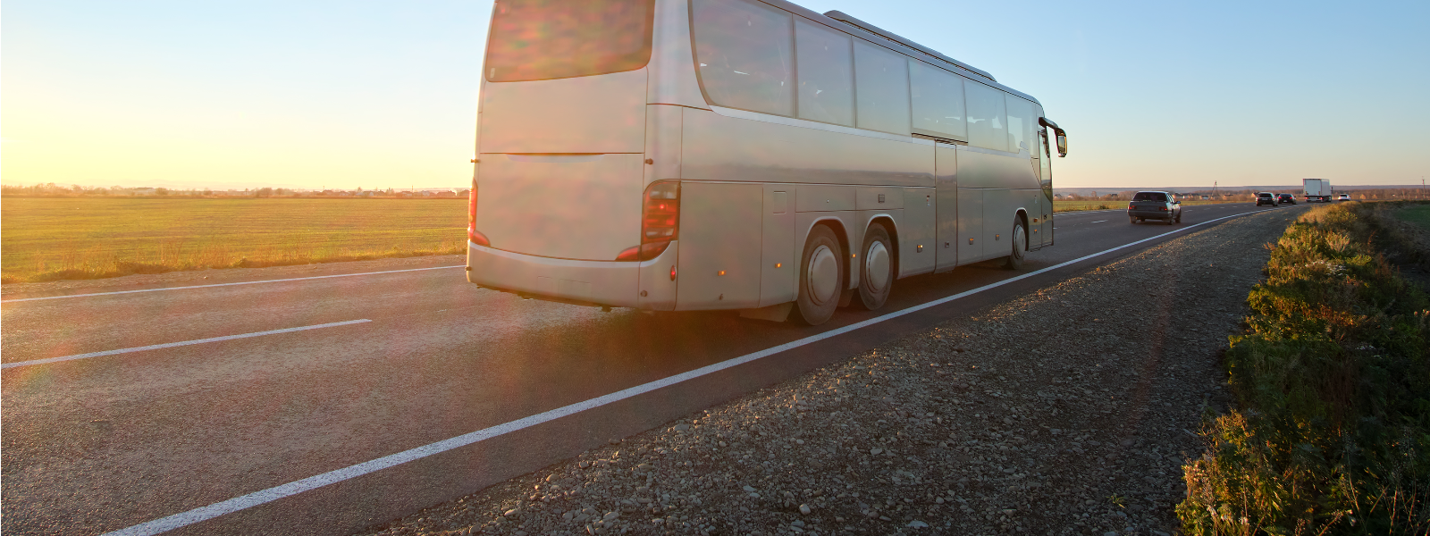 DOMECA OÜ - Domeca on kogemustega bussifirma, kes aitab Sind rõõmuga nii reisi planeerimisel kui läbiviimisel.