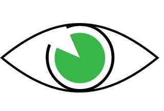 EFEKTOPTIKA OÜ logo