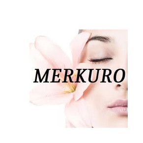 MERKURO OÜ logo