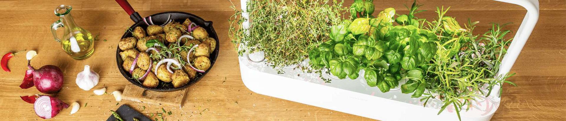 The Click & Grow Smart Indoor Gardens are the most advanced and easiest indoor gardening solutions. Enjoy fresh herbs grown in your own indoor garden all year round.