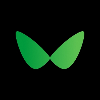 WALLESTER AS logo