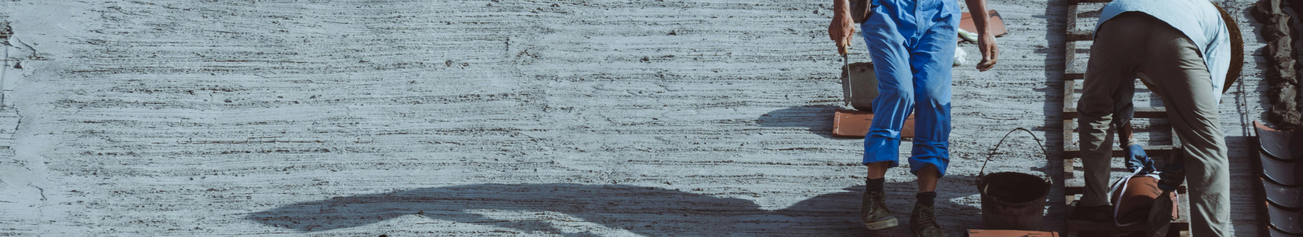 Pakume katusetöid, fassaaditöid, üldehitust ja plekksepatöid. Aitame hoida hooned korras, parandada energiatõhusust ja pikendada lahenduste eluiga.