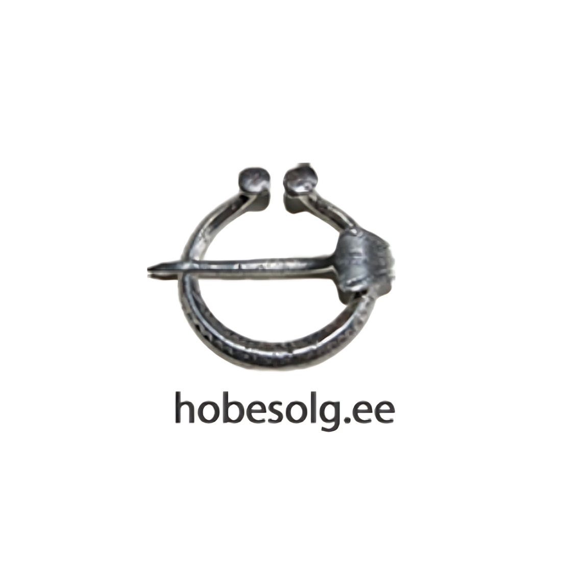 HÕBESÕLG OÜ logo