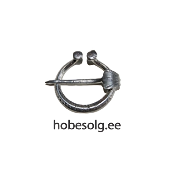 HÕBESÕLG OÜ logo