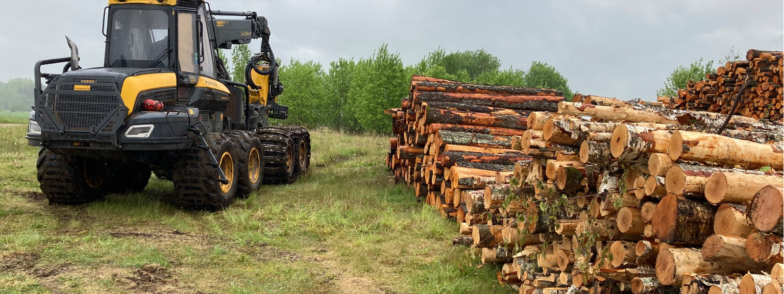 Support services to forestry in Valga county