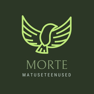 MORTE MATUSETEENUSED - FIE ARNE ZEKKER FIE logo