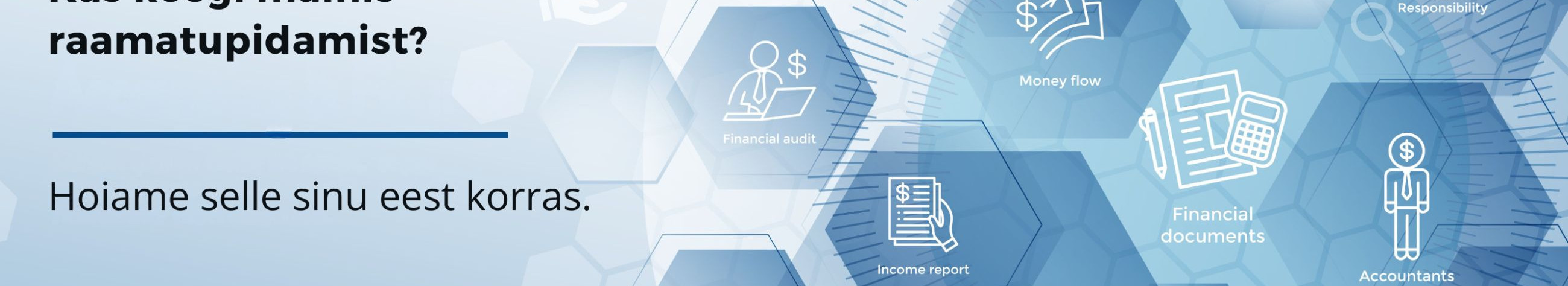 Accounting, organizing and restoring accounting, accounting services, company creation, company liquidation, business register support services