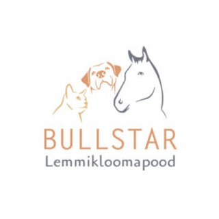 BULLSTAR OÜ logo