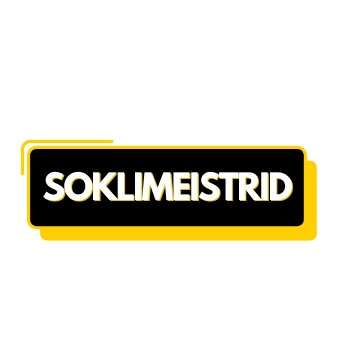 SOKLIMEISTRID OÜ logo