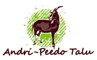 ANDRI-PEEDO TALU OÜ logo