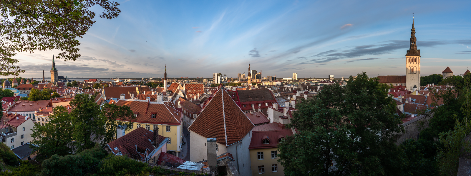 Other travel-related reservation services, including the activities of tour guides, ticket agencies and tourist information points in Tallinn