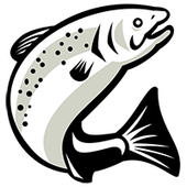 TATRA FORELL OÜ - Tatra Forell – Värske ja Maitsev kala