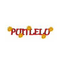 PUITLELU OÜ logo